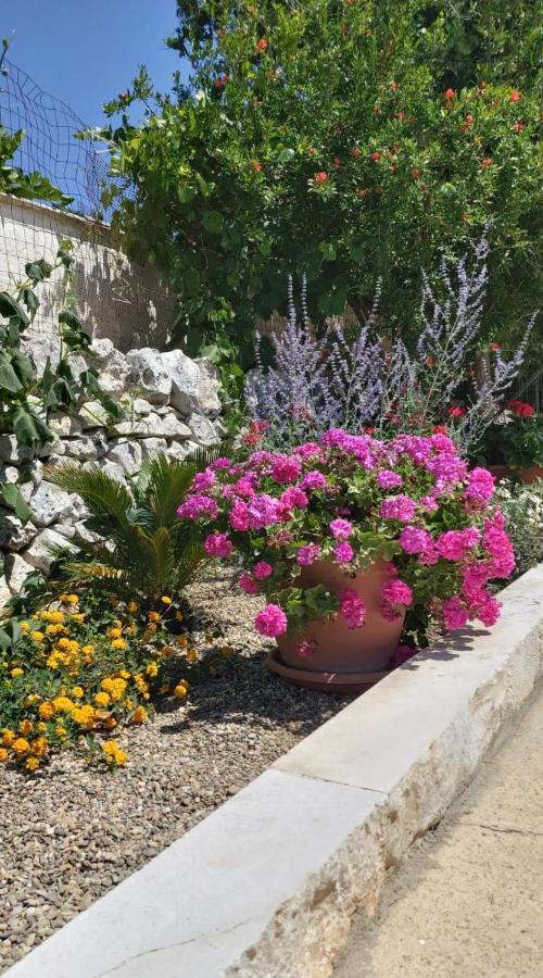 Masseria Parco Delle Casette Alberobello Eksteriør billede