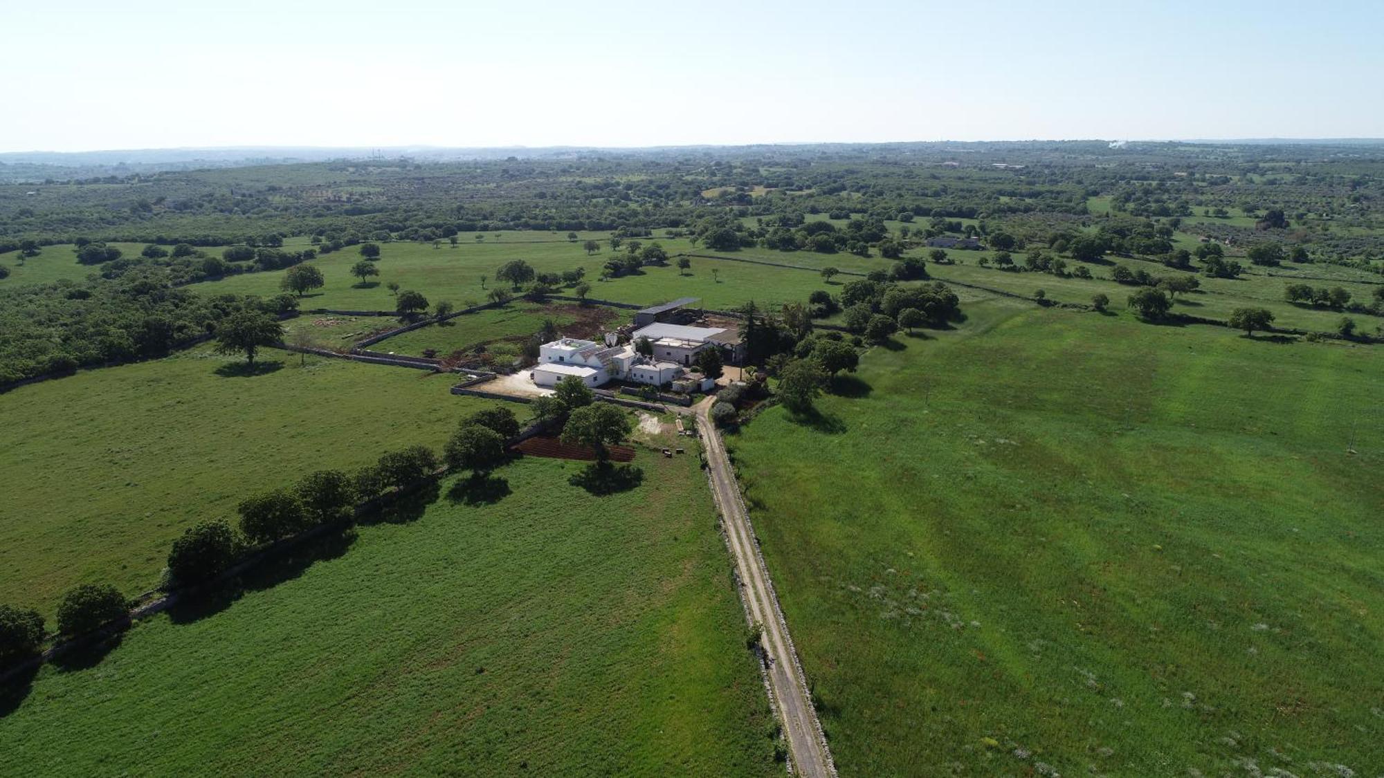 Masseria Parco Delle Casette Alberobello Eksteriør billede